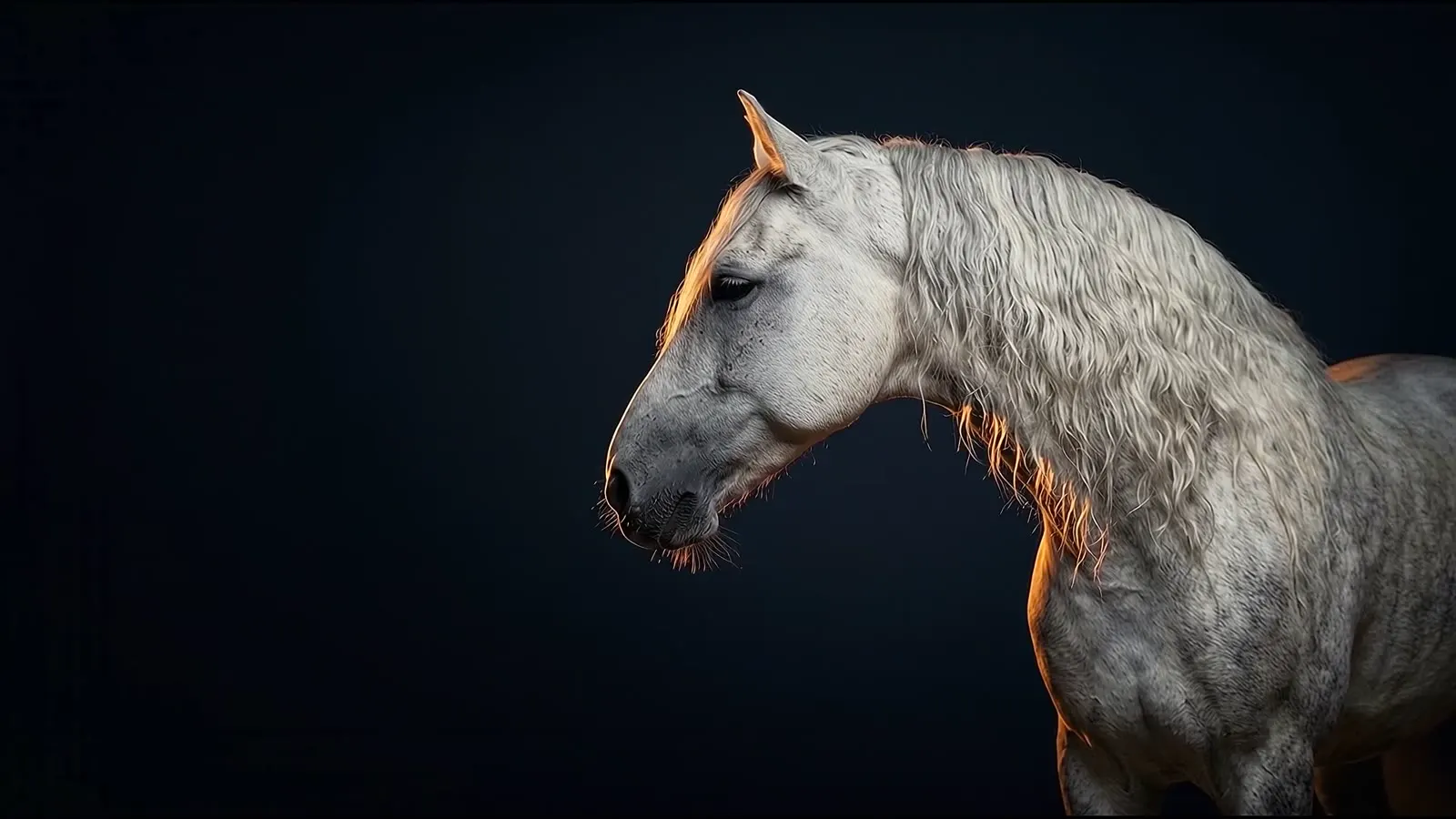 Caballo de pura raza española, el animal de los gestorías en HalkoPro